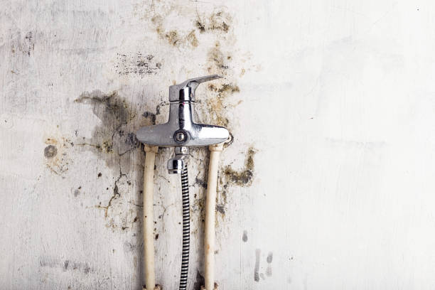 Best Mold Testing and Inspection Services in Cherry Hill Mall, NJ