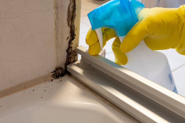 Best Post-Remediation Services in Cherry Hill Mall, NJ